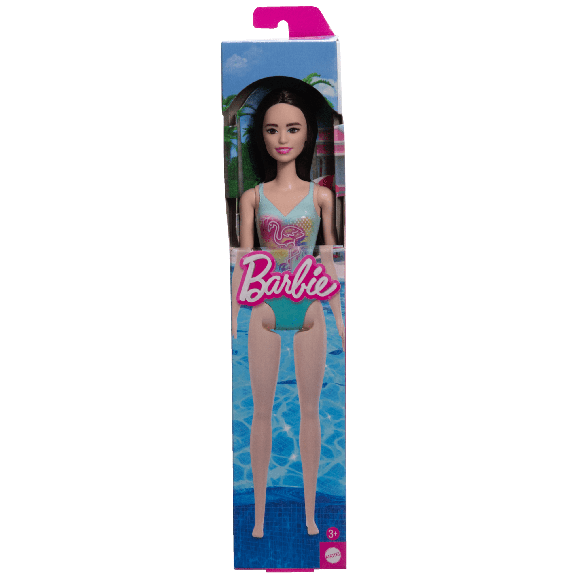 Barbie Playa (Modelos Surtidos)