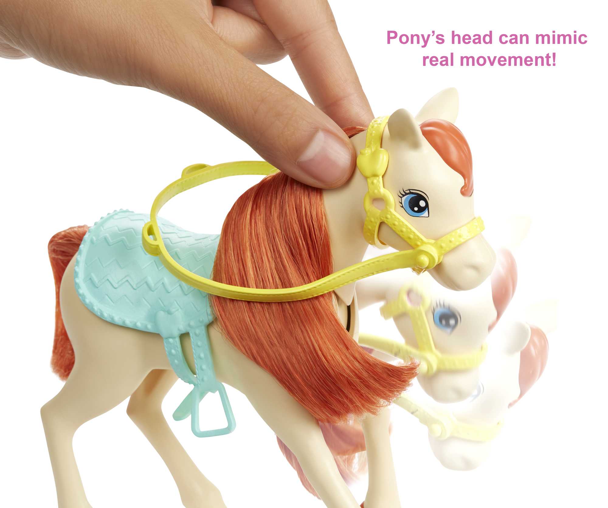 Barbie Dolls, Horses And Accessories