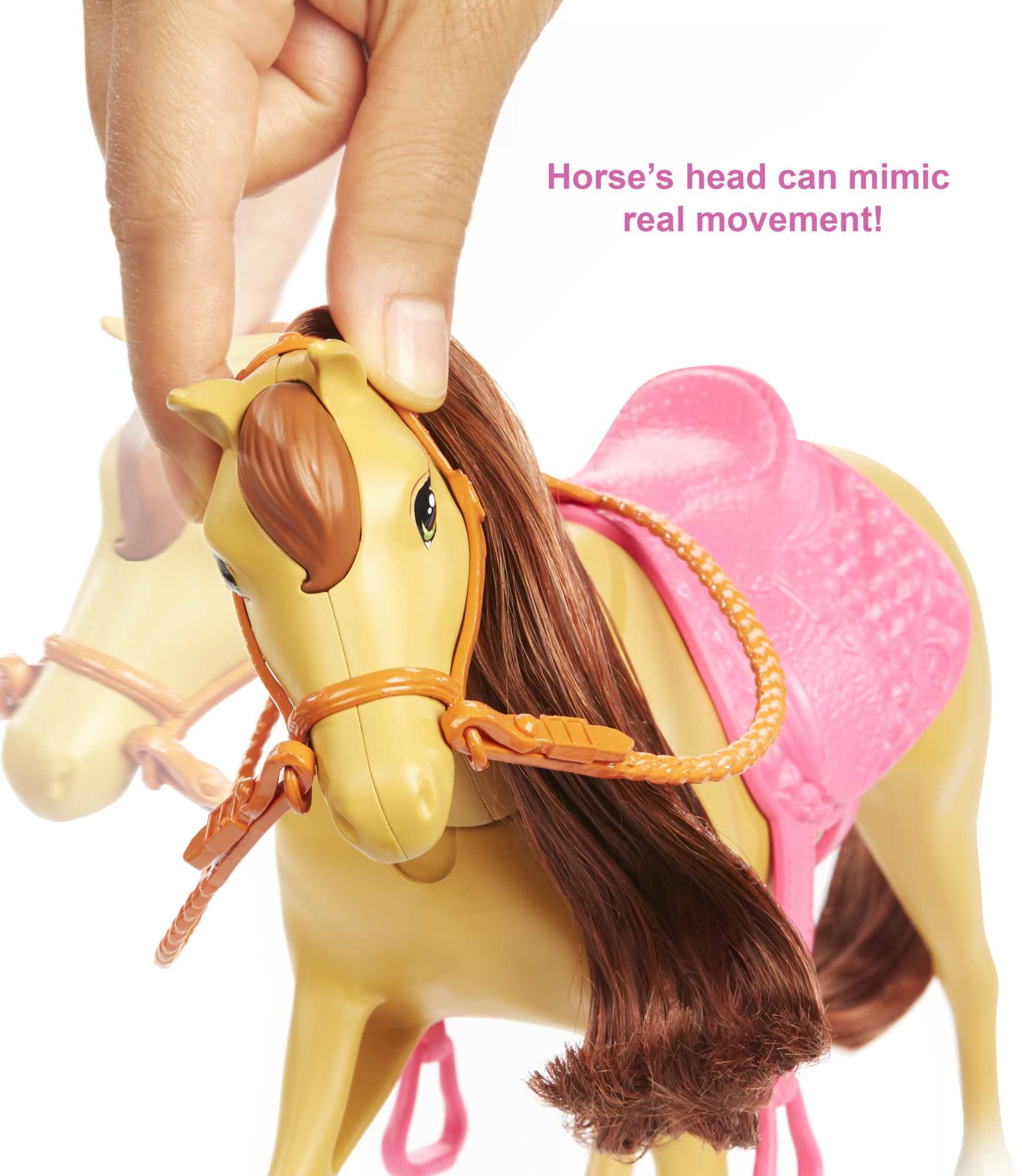 Barbie Dolls, Horses And Accessories