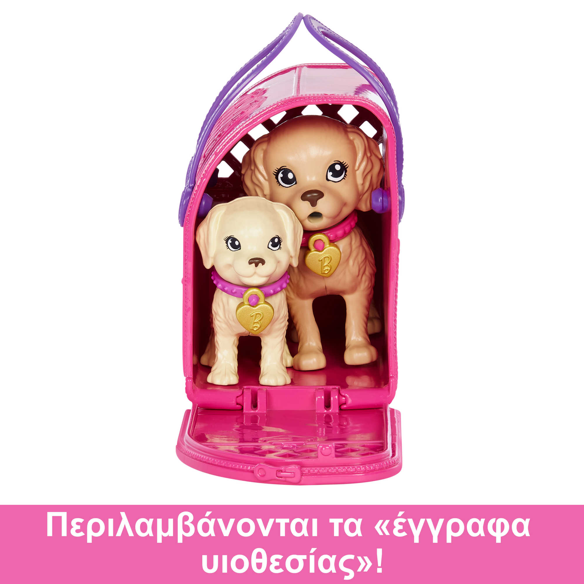 Barbie Κούκλα Και Αξεσουάρ Σετ Παιχνιδιού Με Κούκλα, 2 Σκυλάκια Και Αλλαγή Χρώματος