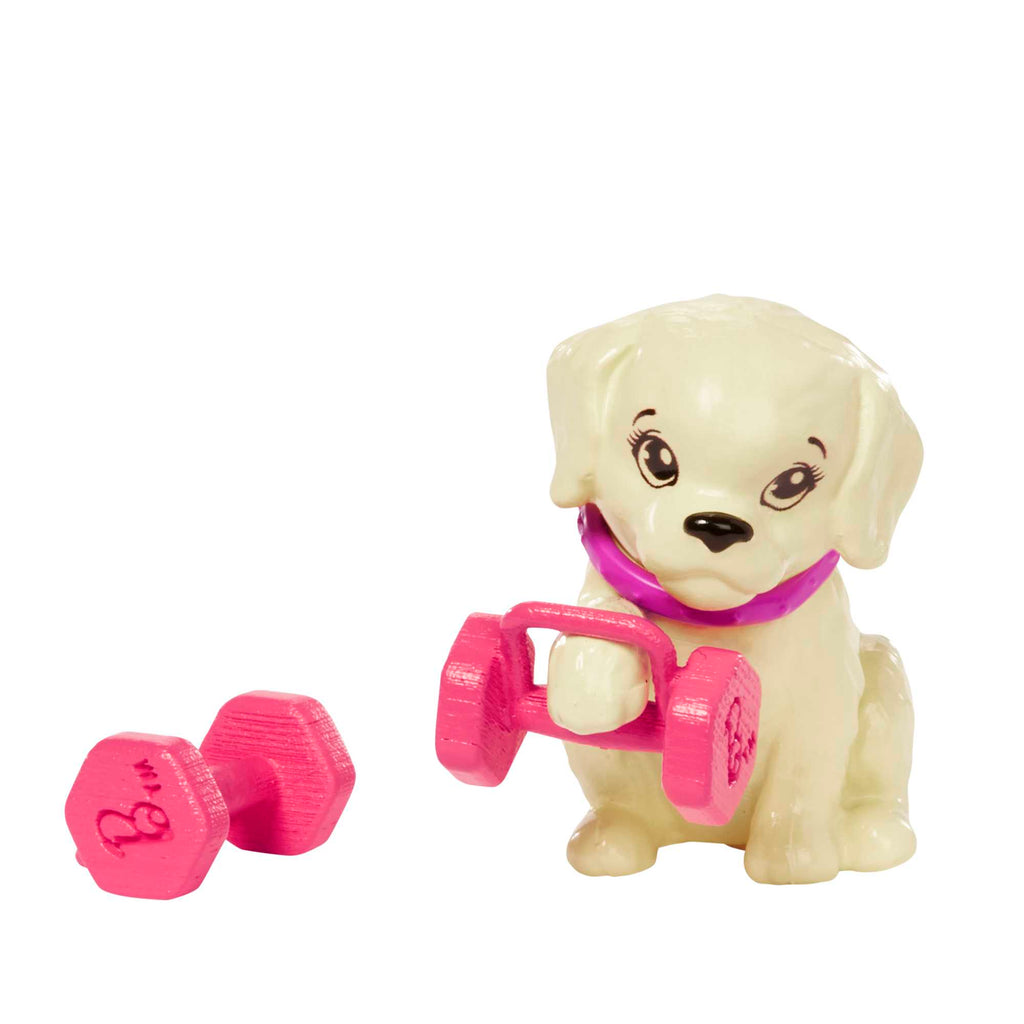 Yavru Köpeği, Spor Kıyafetleri, Patenleri Ve Tenis Raketiyle Barbie Bebek